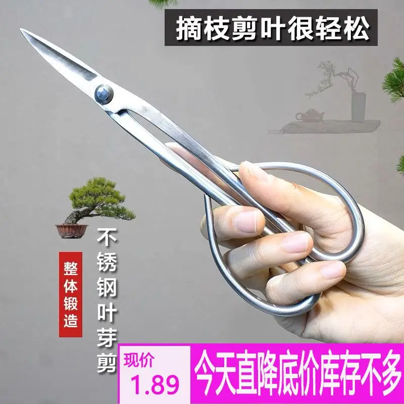 

All Stainless Steel Gardening Home Scissors Branch Pruning Leaf Bud Scissors Pruning Shear Bonsai Modeling Scissors Floriculture