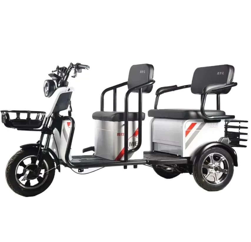 Hot Sale Factory Direct 800W Electric Tricycle Covered Handicapee Design with Prices in Pakistan