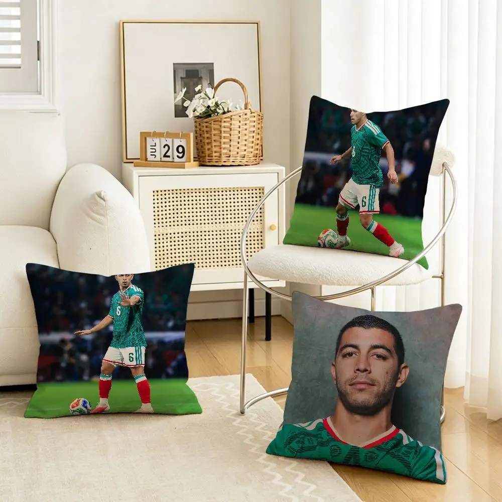 

The Shield 6 E-Erik Lira Multi-Size Printed Pillow Covers Home Decoration