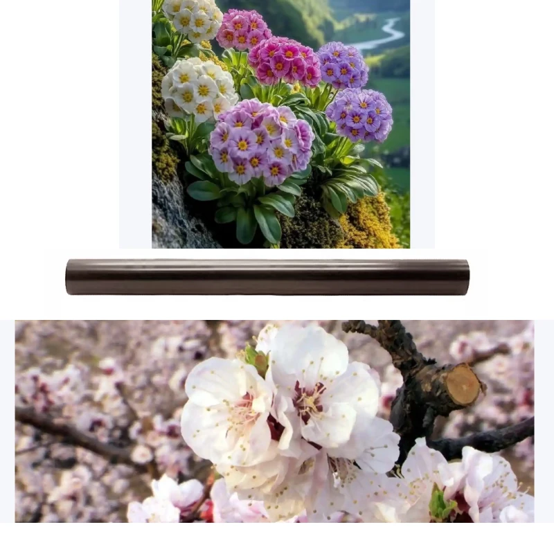 

2X Fuser Film Sleeve for Ricoh MP 2555 3055 3555 4055 5055 6055 2554 3054 3554 4054 5054 6054 C3002 C3502 C4502 C5502