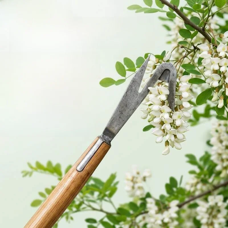 

Stainless Steel Adjustable Length Hook for Hawthorn Cherry Blossom And Lychee Harvesting Tool for Outdoor Camping...