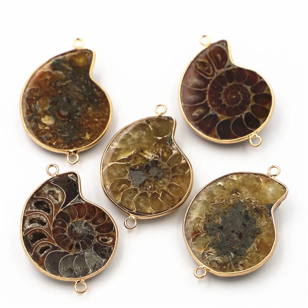 Natural Stone Large Ammonite Snail Seashell Connectors Pendants For Jewelry Accessories Making Wholesale 5pcs  55-45MM