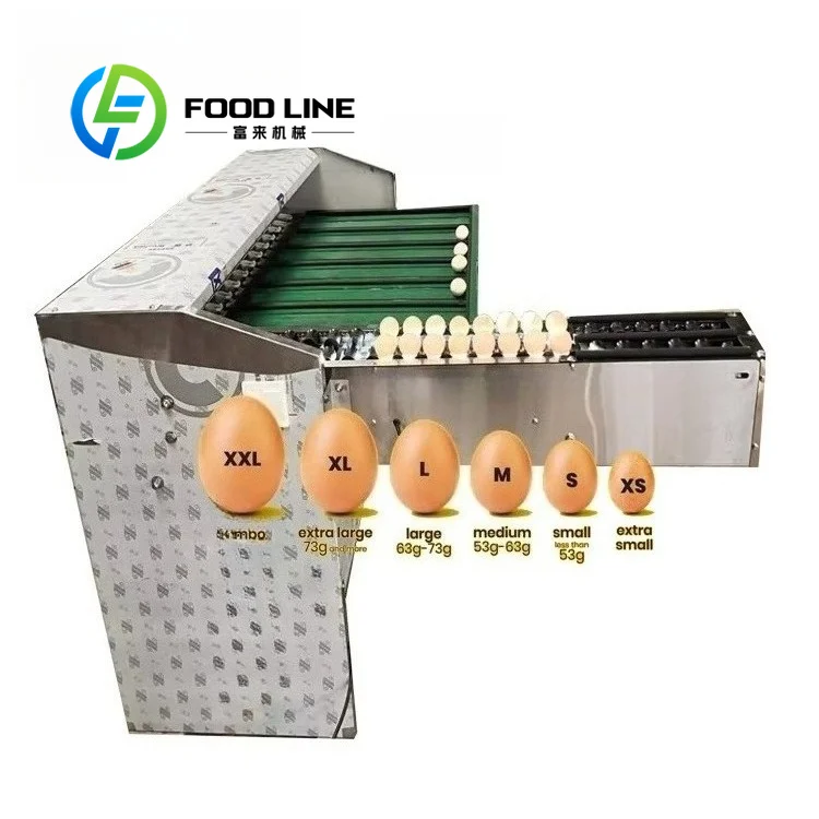 Automatic Egg Grader Matches Egg Grading Machine And Egg Sorting Machine To Separate Chicken Eggs Into Multiple Weight Sizes