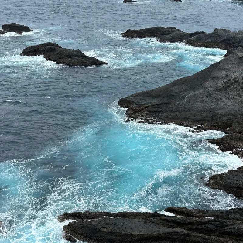 JX B60 C60 كامل المعادن فرش السيارات سيرفو RC 8.4 فولت 60 كجم عزم دوران عالي أجهزة رقمية ل RC سيارة نموذج الطائرات الروبوتية الذراع الزاحف #1