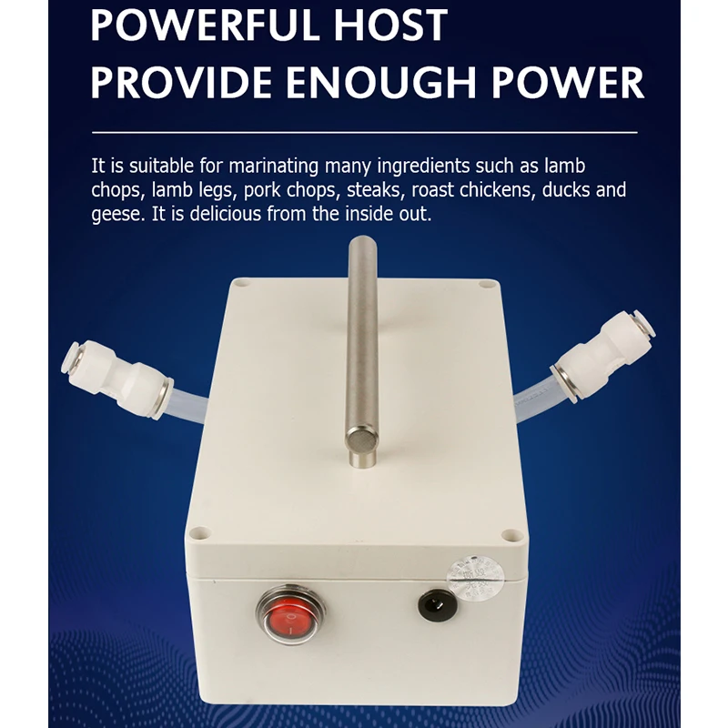 Máquina De Decapagem De Carne Elétrica, Injetor De Cordeiro De Bife, Elétrico, Bomba De Injeção Salina, Seringa marinada de carne