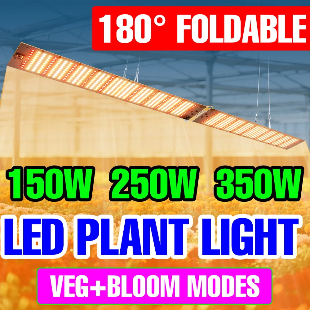 

350W LED Grow Light Full Spectrum Quantum Board Plant Cultivation Lamp For Greenhouse Growth Tent Tomato Vegetable Fill Lighting