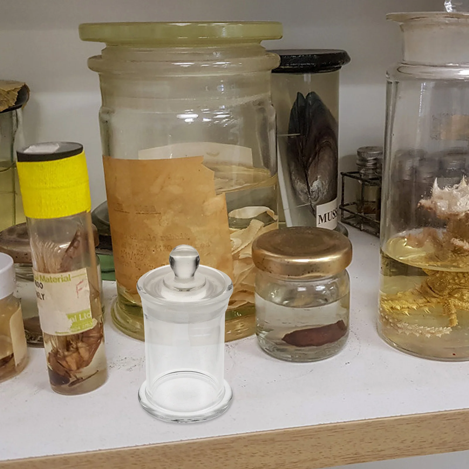 

1Pcs Glass Specimen Bottle Borosilicate Clear Laboratory Chemistry Storage Heat Resistant Smooth Surface Easy Clean No Burrs