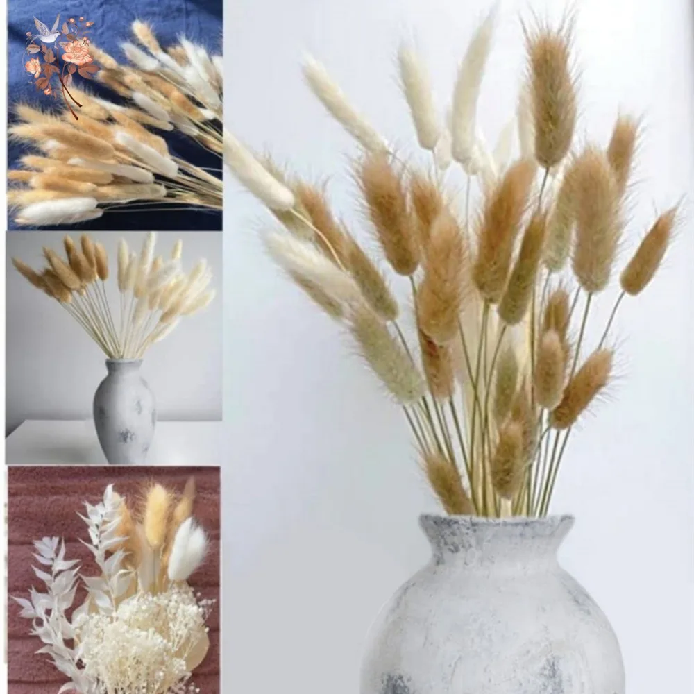 60Pcs Fluffy Bunny Rabbit Tails Grass Bouquet Boho Home Vase Decor Natural Pampas Dried Flower Lagurus Ovatus Wedding Decoration