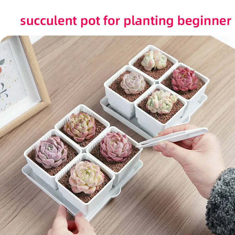 

Meshpot Succulent Pot Cactus Planter with Drainage Holes Lithop Cups Plastic Flower Pot for Home Decoration Holiday Gift