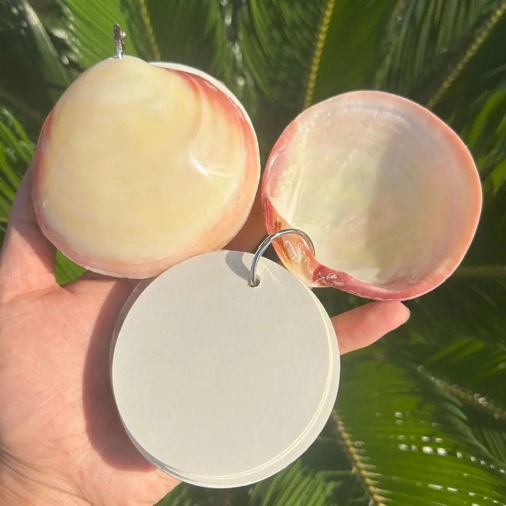 Natural Shell Abalone Shell Notebook Lightweight Smooth Pages Natural Seashell Notebook Mini Compact Gradient Color Sketchbook