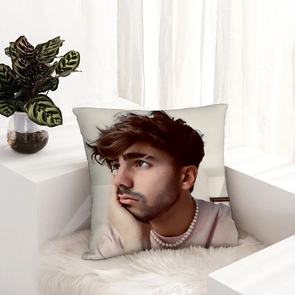 

Internet Celebrity Fede V-Vigevani Pillow Case Plush Fabric Soft Pillowcase Double Sided Print Cushion Cover Throw Pillow Cover