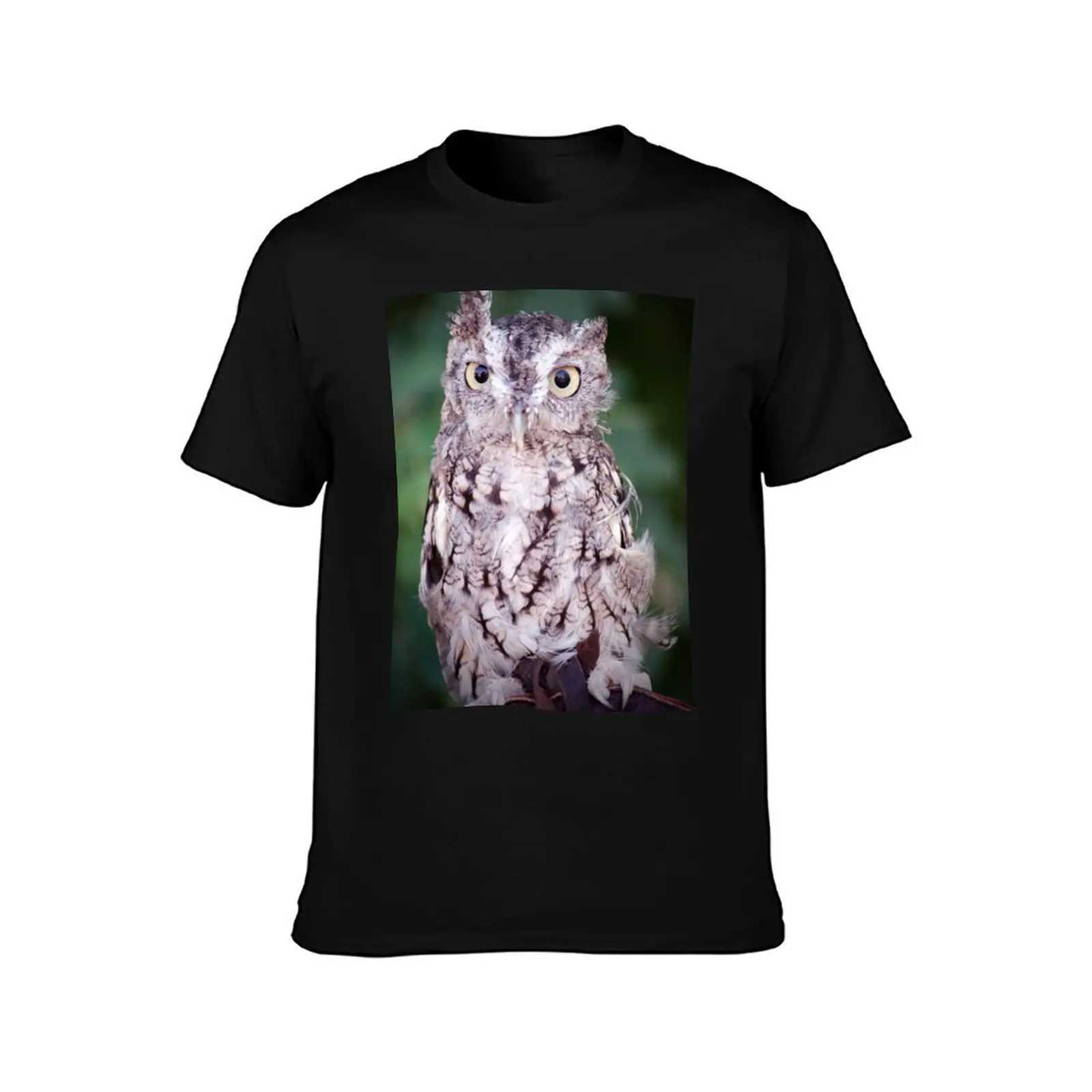 Eastern Screech Owl T-Shirt No Iron Casual Short Sleeve Top T-Shirt