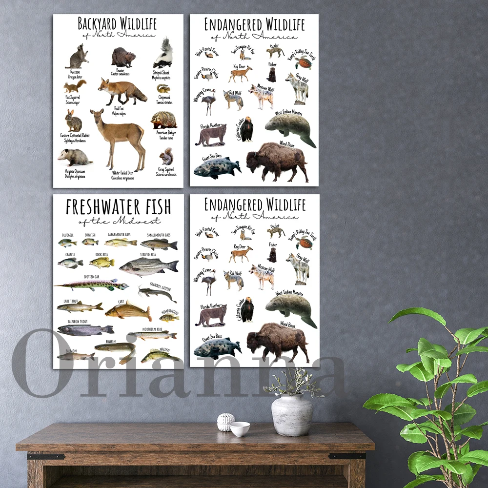 Freshwater Fish Of The Midwest Chart Print Endangered Wildlife Of North America Poster Educational Decor-Conservation-Wall Art