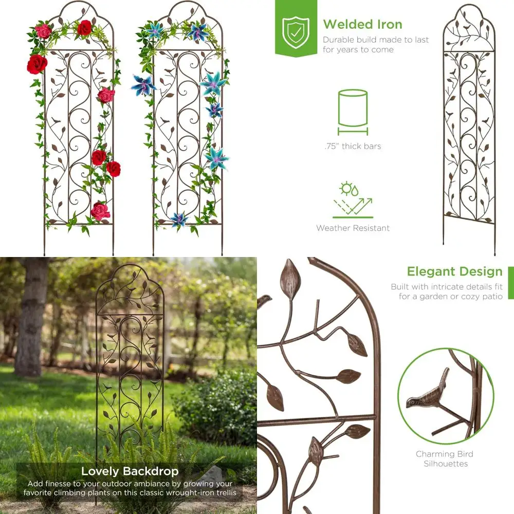 

Pair of 60x15 Inch Iron Garden Arch Trellises with Branches and Birds for Outdoor Plant Support and Aesthetic Appeal