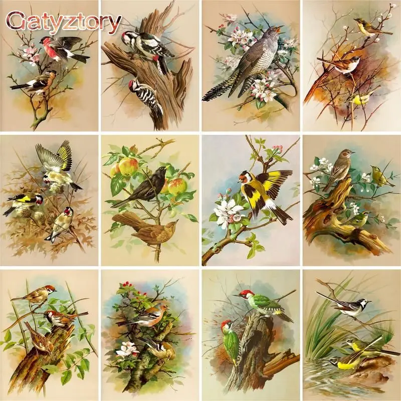 GATYZTORY Painting By Numbers Bird On Branches Oil Picture By Number Handmade Unique Gift For Adults Children 60x75cm Frame Craf