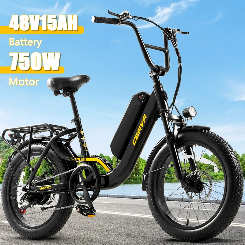 Hot new YDD-R8SE 48V750W15AH 7-speed bike 20 * 3 tire ebike ebike adult city commuter mountain electric bike all terrain