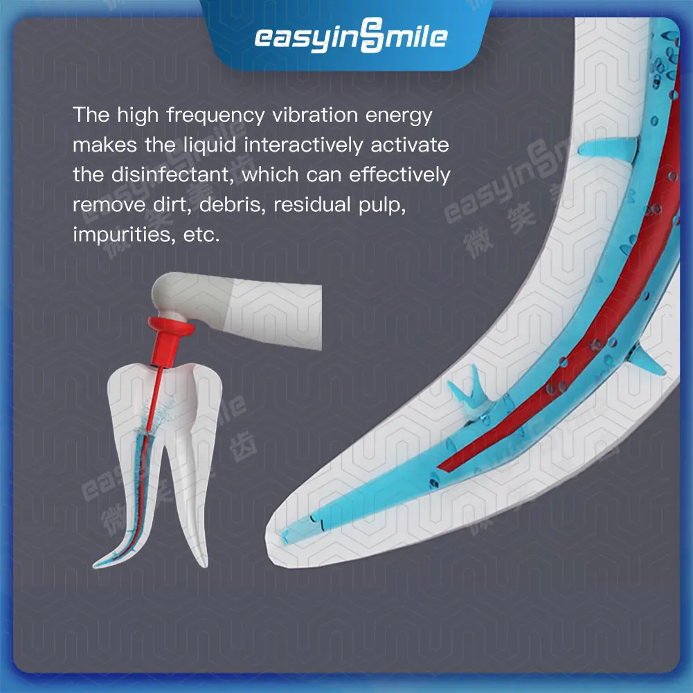 Easyinsmile Endo Activator Dental Sonic Root Canal Sealing Endodontica Bioceramic Filling Sealer Irrigator with 60 Tips No Break