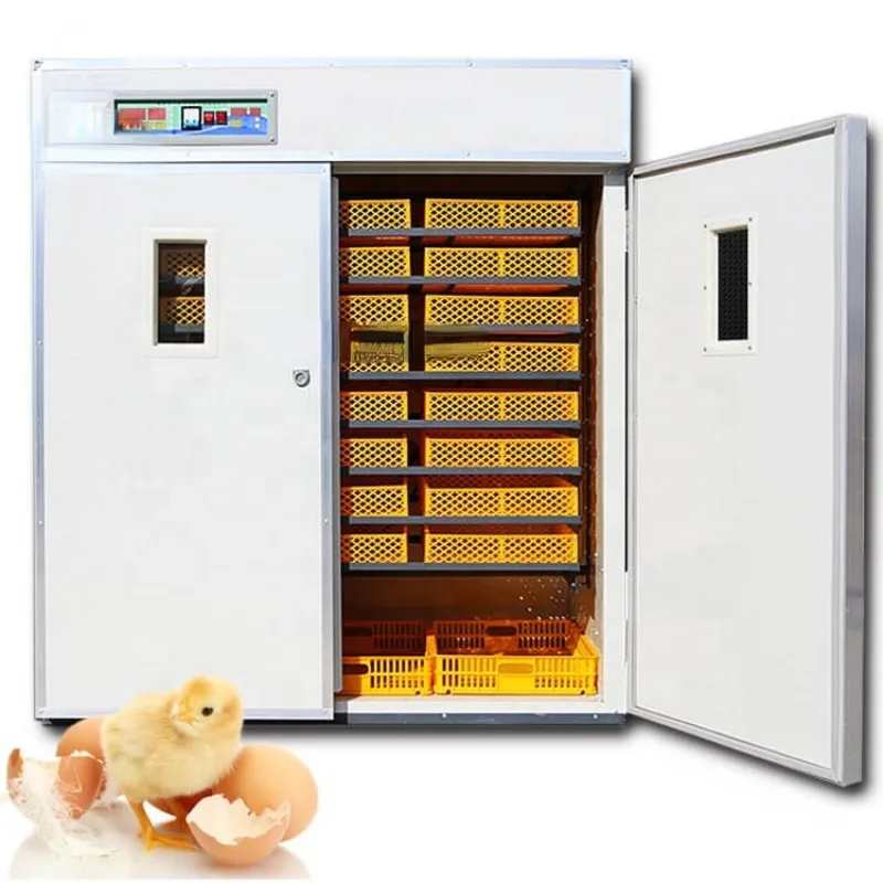 Practical And Affordable Chicken Egg Incubator Price