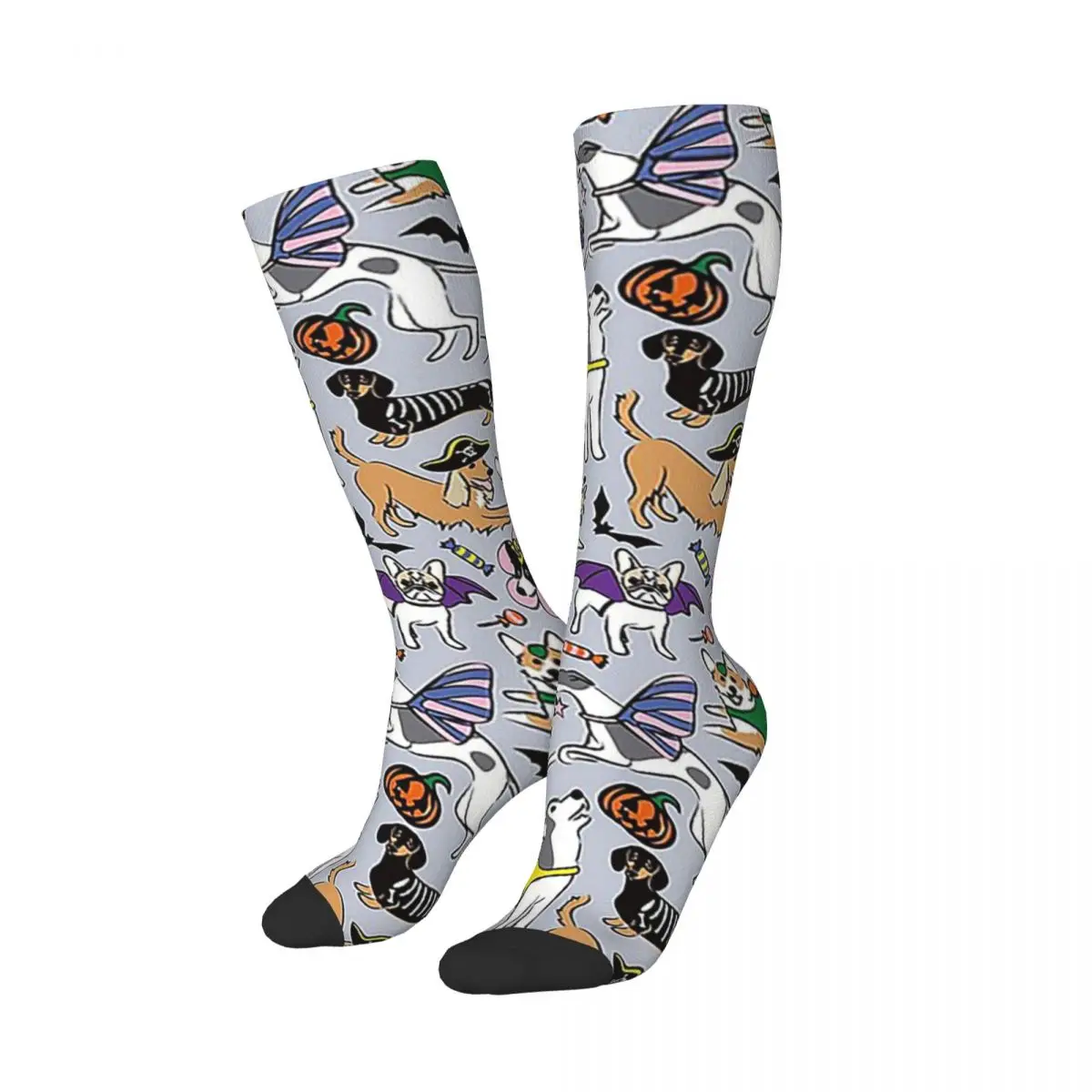 Border Collie Socks Harajuku Super Soft Stockings All Season Long Socks Accessories for Man's Woman's Birthday Present