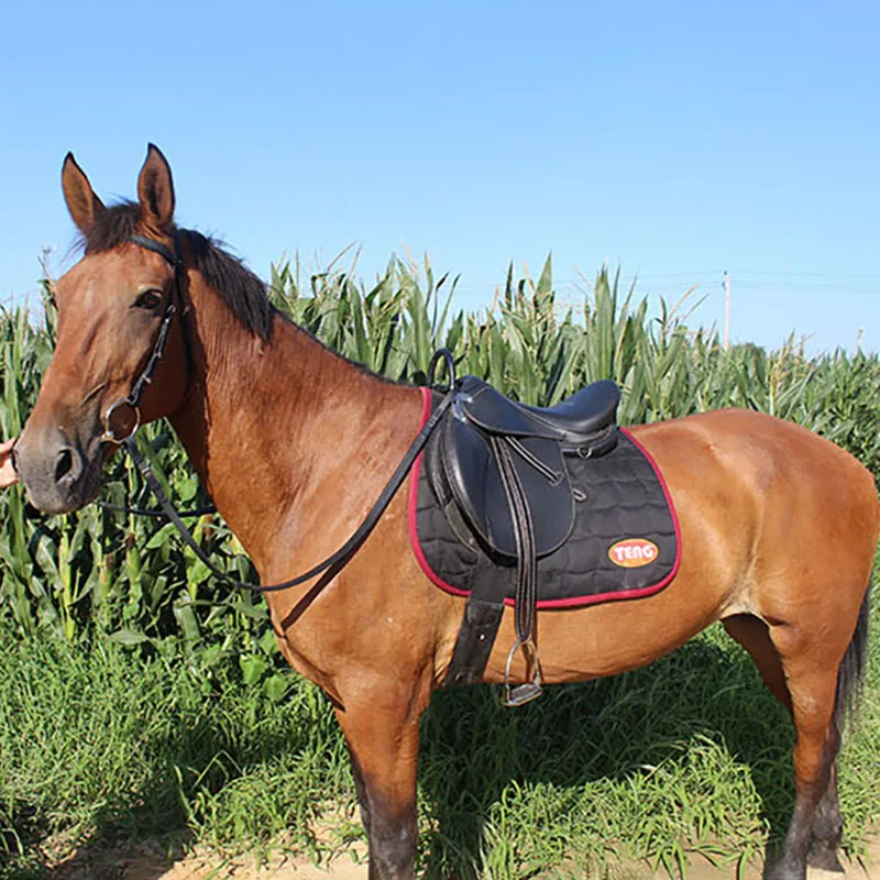 

Saddle Full Set Harness Saddle Cushion Microfiber Teaching Big Horse Comprehensive Saddle Pony Equestrian Supplies