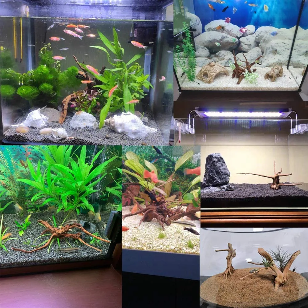 Mini madera de deriva para acuario, ramas de madera Natural, decoraciones para peceras, árbol, maletero, surtidos (paquete de 10)