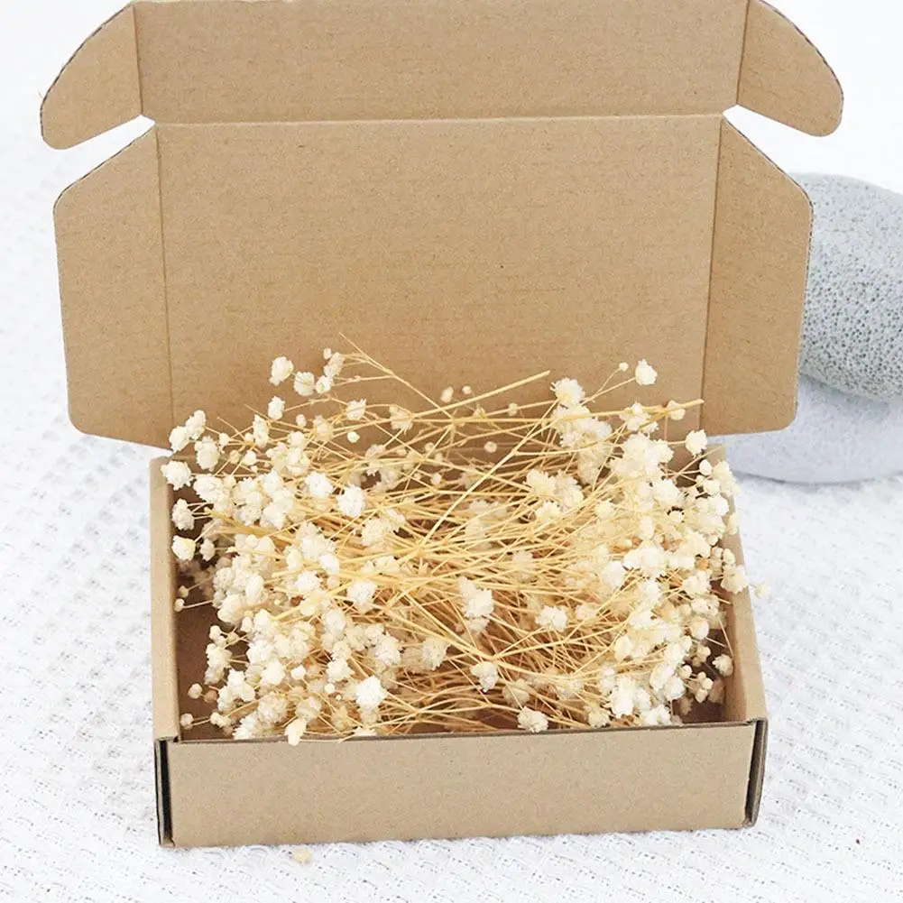 DIY Bunga Abadi Kreatif Bunga Kering Gypsophila Rangkaian Bunga Bunga Kering DIY Dekorasi Rumah Pernikahan Hadiah 50 Buah