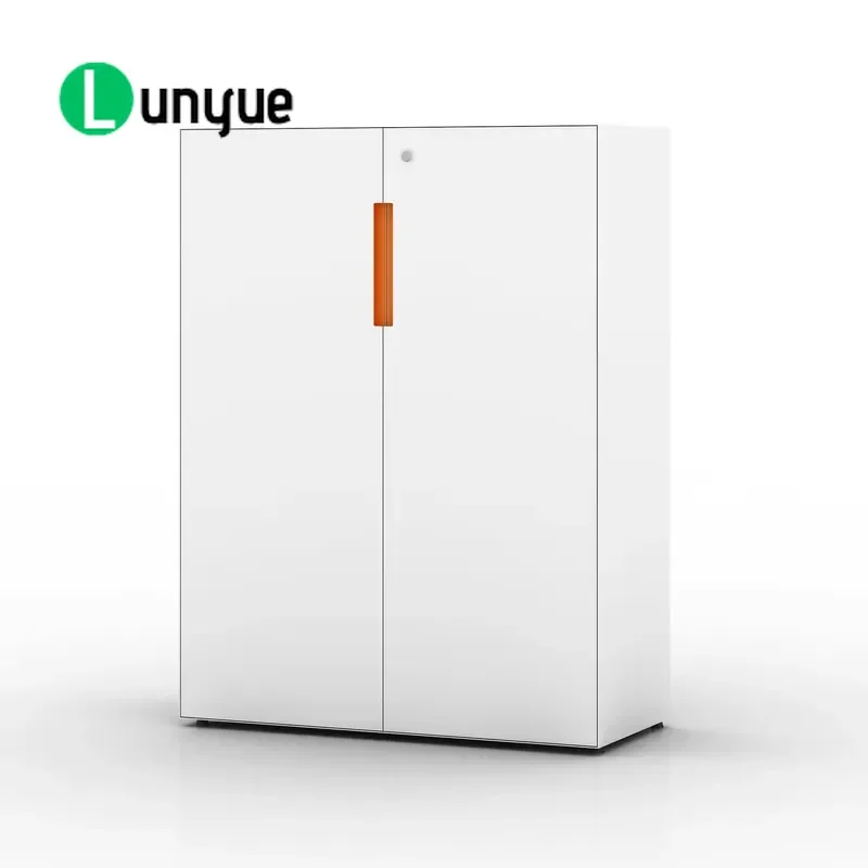 Steel Swing Door File Cabinet Office Storage Furniture Metal Document Organizer for Home Business Secure Locking Durable