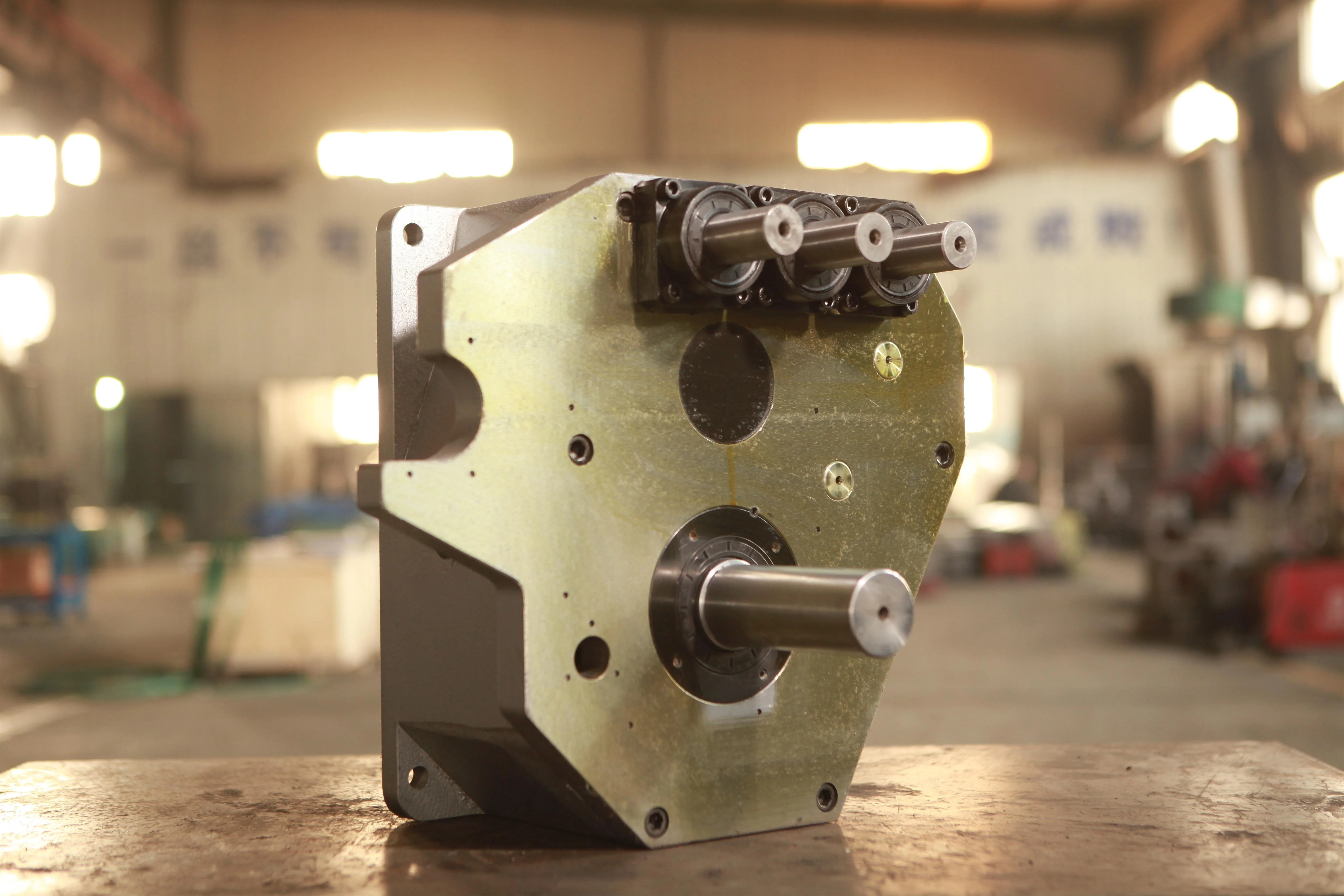 Special Steel Cam Indexer with Gearbox for Leading Edge Paper Feeding
