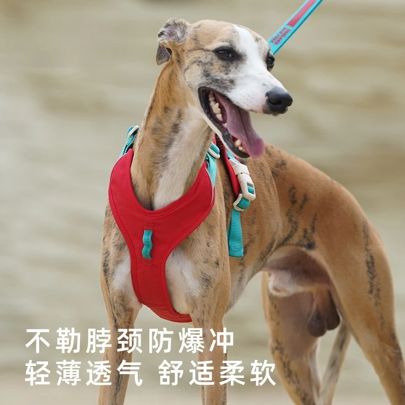 Dog chest and back traction rope Small medium and large dog walking dog I-shaped special pet chain that does not restrain the