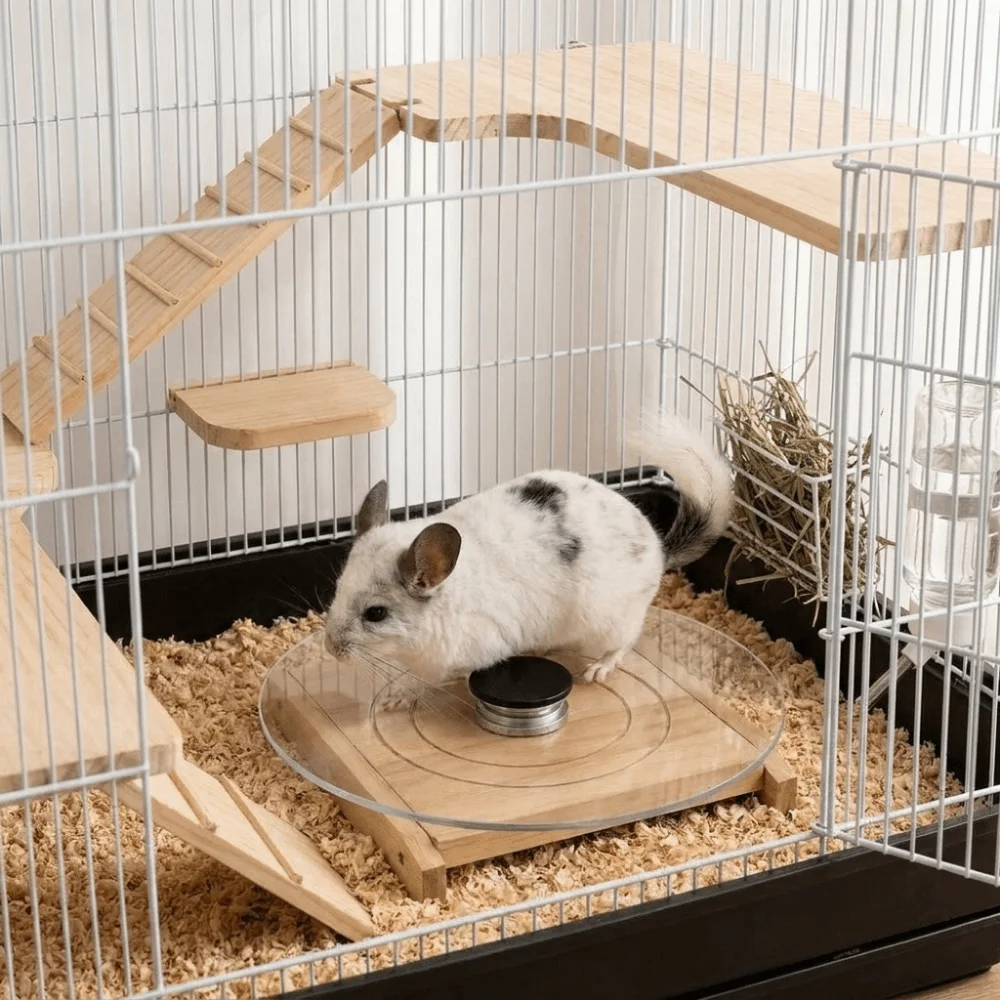 Glass Hamster Running Wheel Long-Lasting Stable Chinchilla Running Plate with Wood Base Silent Hamster Exercise Wheel Rats