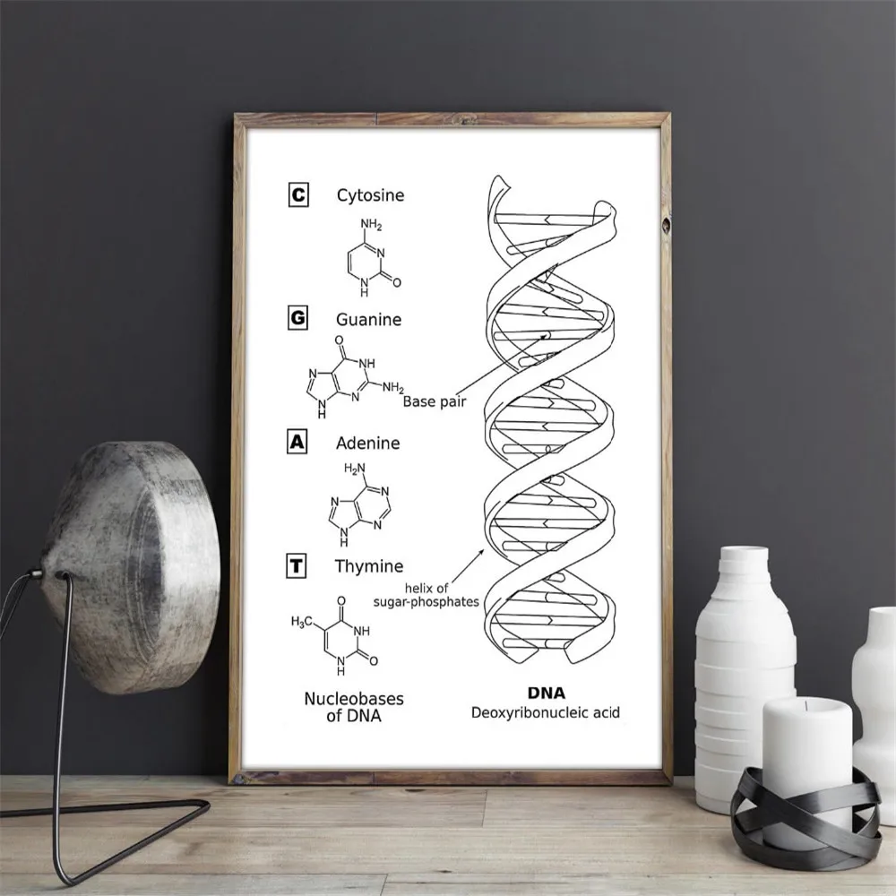 1PC--Black and White DNA Model Wall Art Genetics Posters and Prints Biology Wall Art Picture Laboratory Wall Study Home Decor