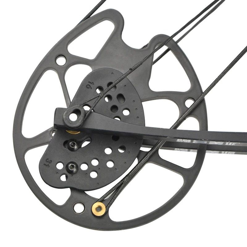 Compound Bow 30-60lbs Adjustable Right Hand 16-31inch Draw Length 320 FPS Target Shooting Hunting Archery Accessories