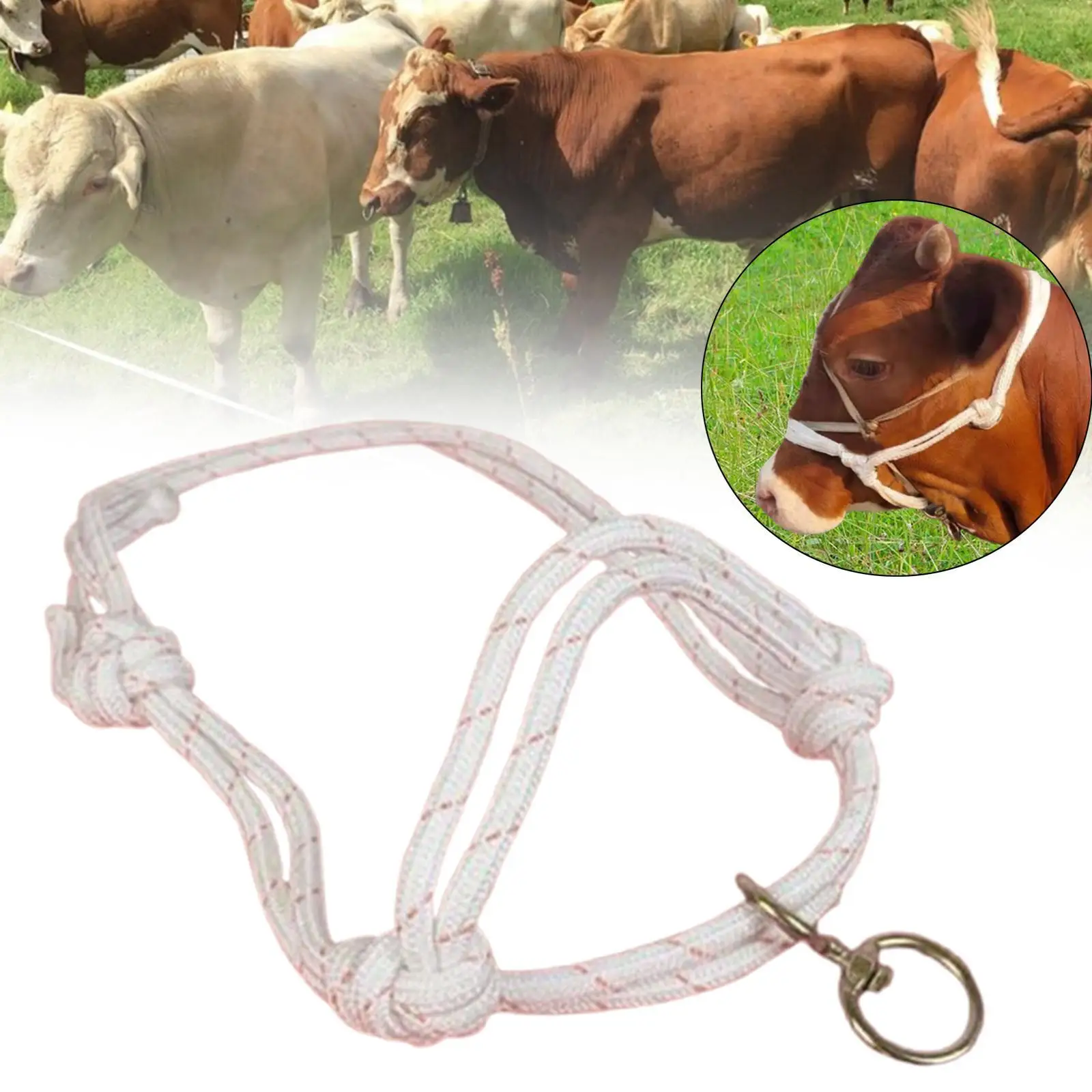 Reinforced Bull Bridle Cow Halter Strong Nylon Lead Rope Calf Livestock Tools for Cattle Handling on Farms