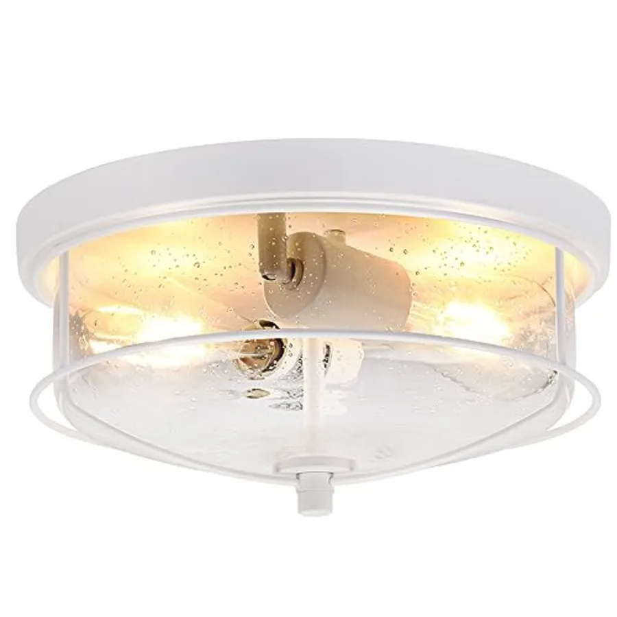 

Flush Mount Modern Outdoor Ceiling with Seeded Glass Shade Metal Cage s for Porch Hallway Kitchen Dining Room Entryway