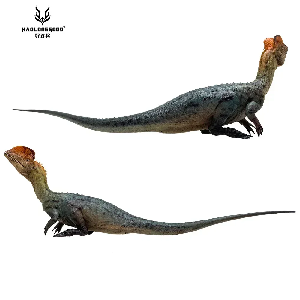 2 unids/set 1:35 HAOLONGGOOD Dilophosaurus dinosaurio juguete prechenio modelo Animal