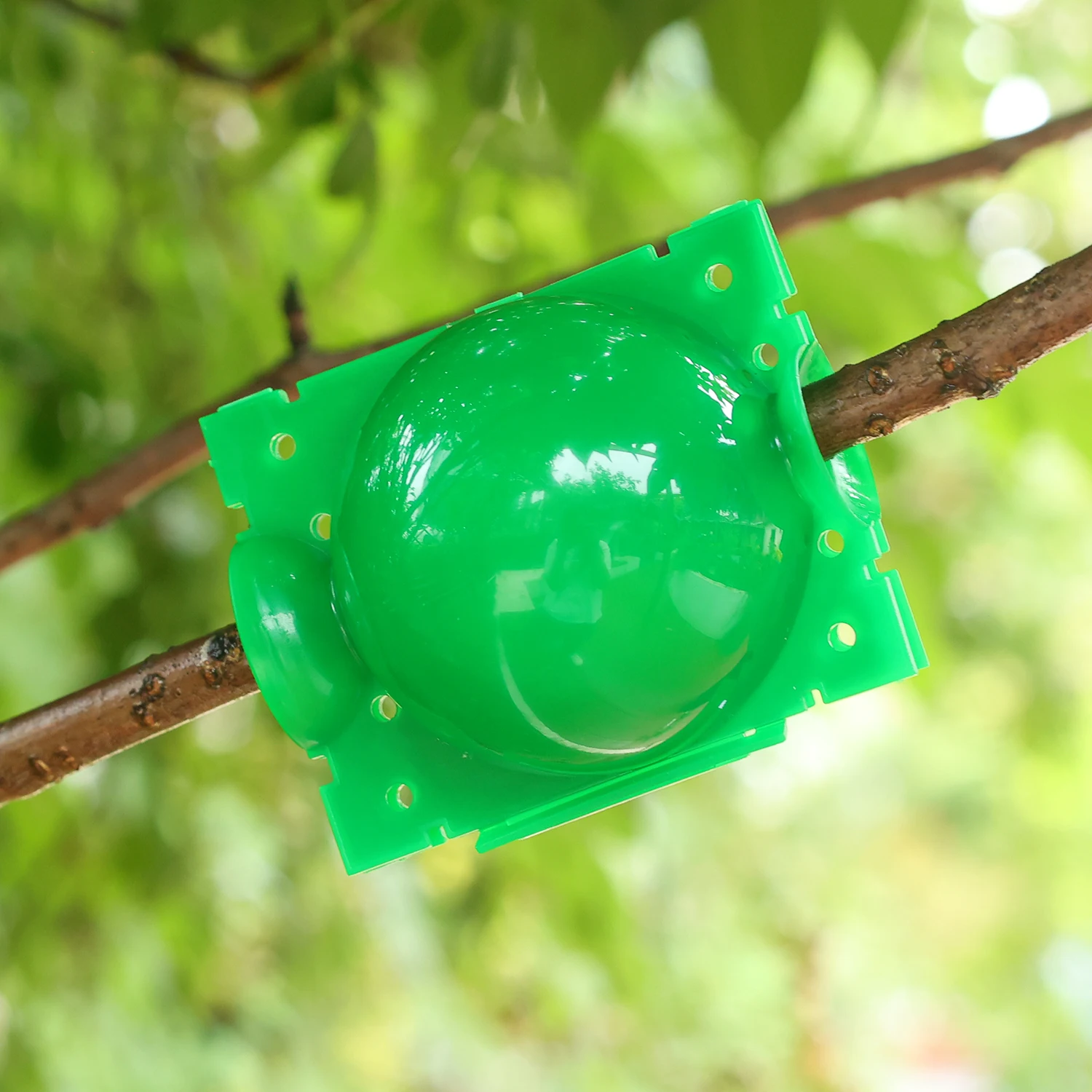 الجملة ارتفاع ضغط انتشار الجذر تزايد صندوق النبات تأصيل الكرة حديقة قابلة لإعادة الاستخدام قطع تطعيم الكرة معدات تربية