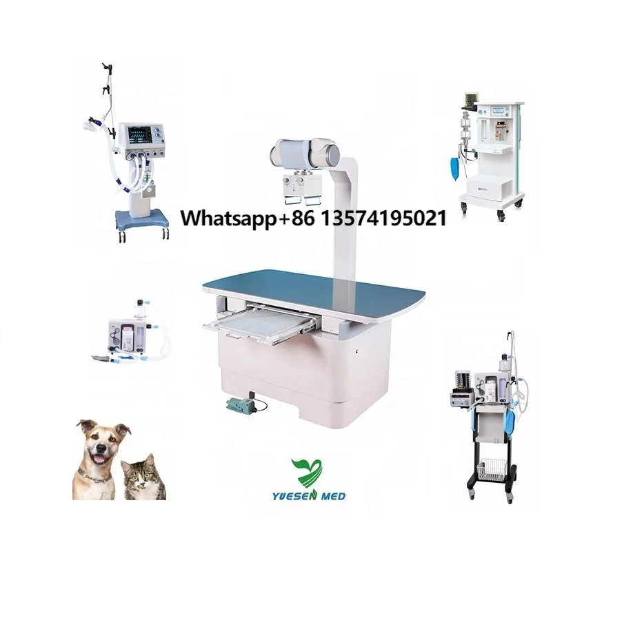 

Veterinary Clinic Equipment Vet Medical Supplies Veterinary Products Veterinary Device Animal