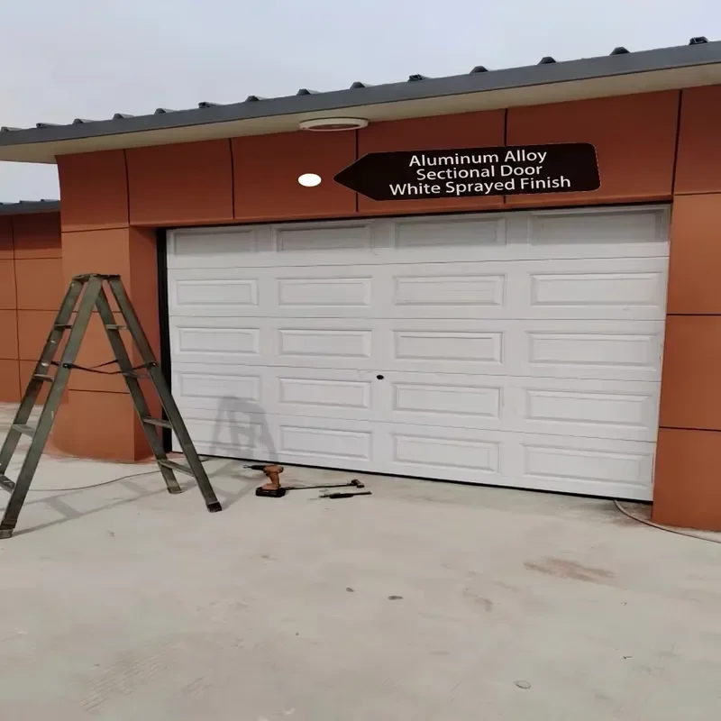 Aluminum Alloy Flap Door Automatic Lifting Remote Control Theft Insulated Rolling Shutter Door for Villa Garage