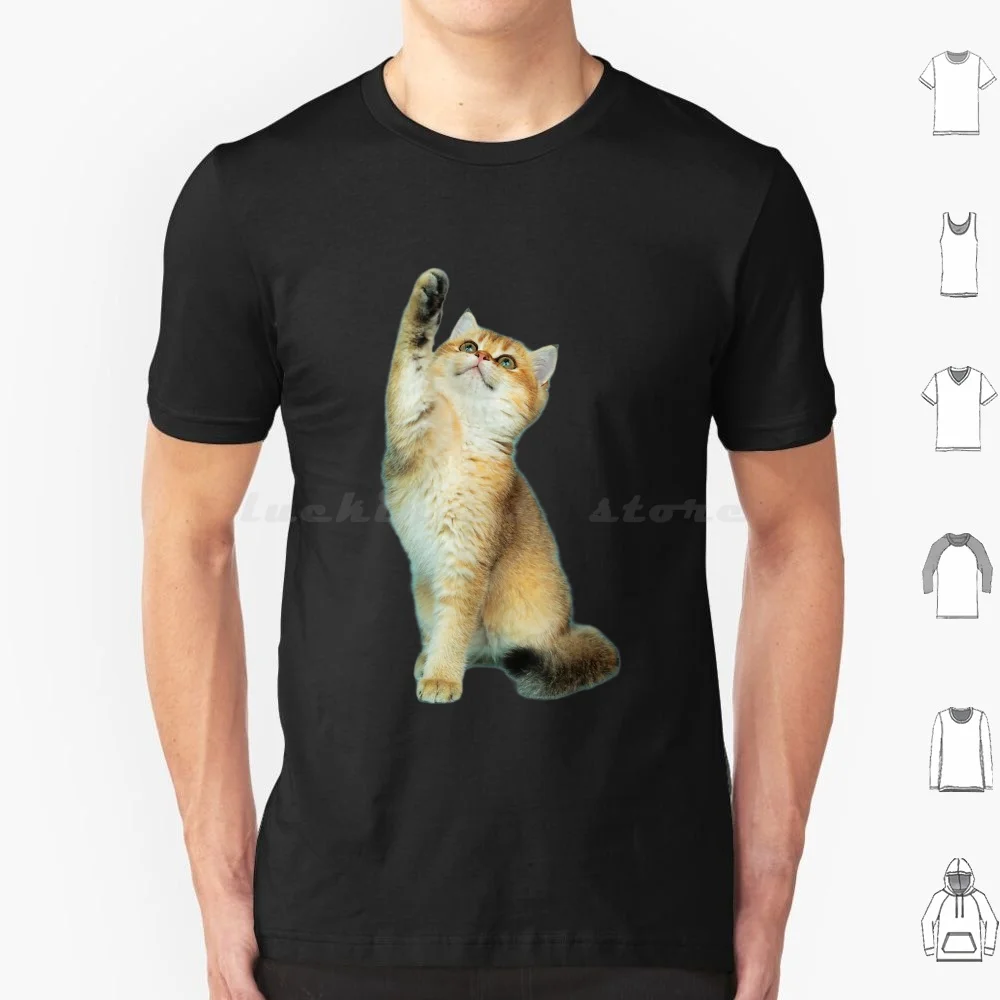 Cat Animal Meow Funny Cat T Shirt 6xl Cotton Cool Tee Cat Animal Meow Funny Cat