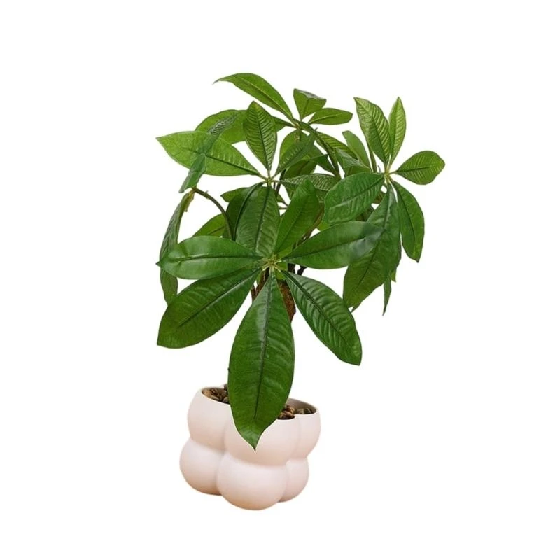 

Artificial Money Tree Simulation Money Tree Plant Decoration Artificial House Plant for Office Desk Living Room Kitchen 15UB