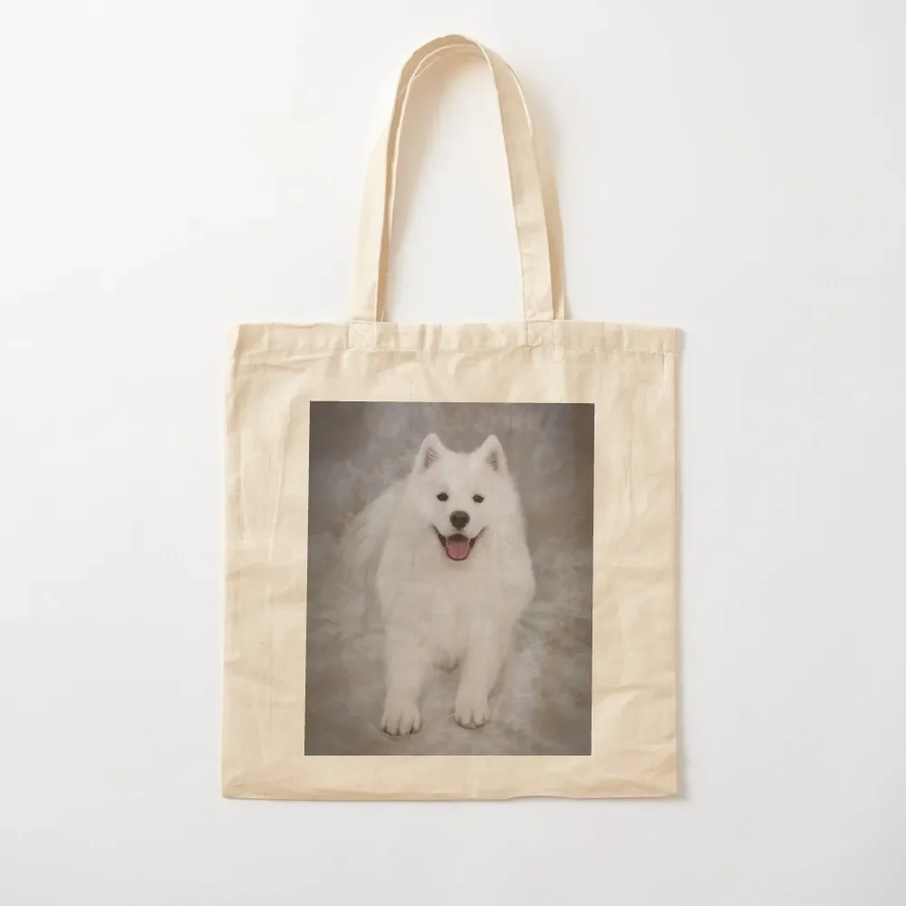 

Samoyed dog, lying down, facing camera in studio Tote Bag tote bag university Eco bag shopping trolley