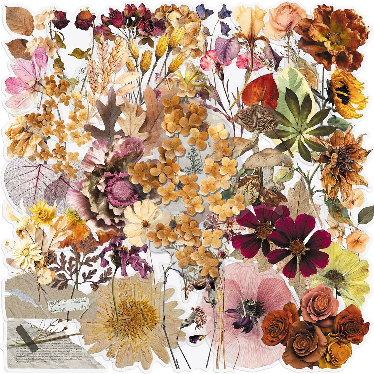 50 Transparente Getrocknete Pflanzenaufkleber, Vintage Florale Getrocknete Blumenproben, Realistische Wasserfeste Dekorative Tagebuch-Aufkleber