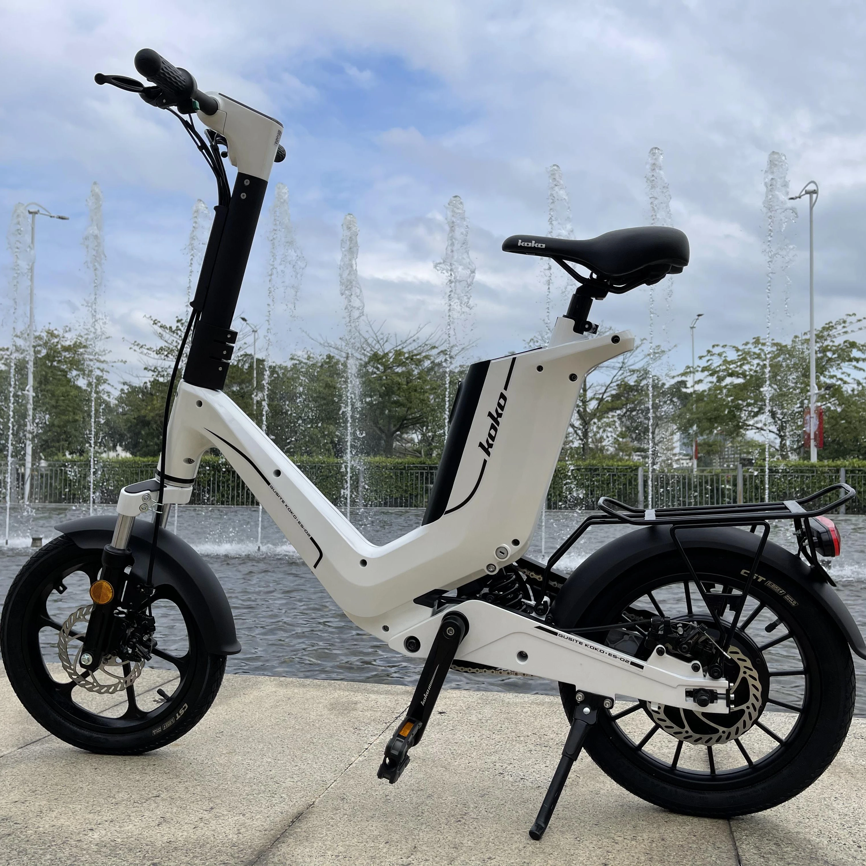 2023 Public Bike with App 16-inch Electric Hybrid Bike IoT Rental System 36V 48v City Bike for People
