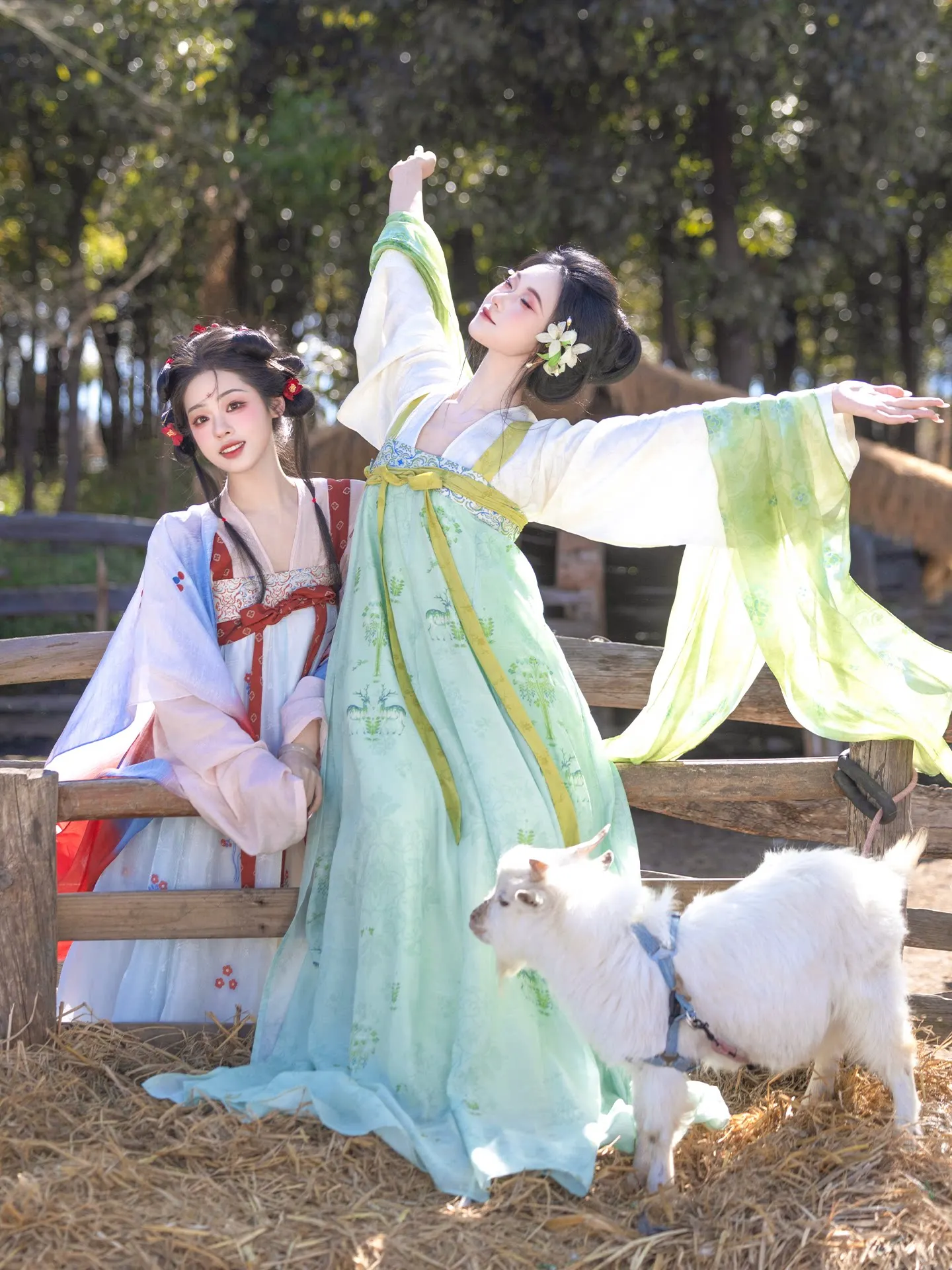 Tang Dynasty Hanfu Qixiong Ruqun Set Printed Big Swing Traditional Ancient Costume For Women Best Friend Photoshoot