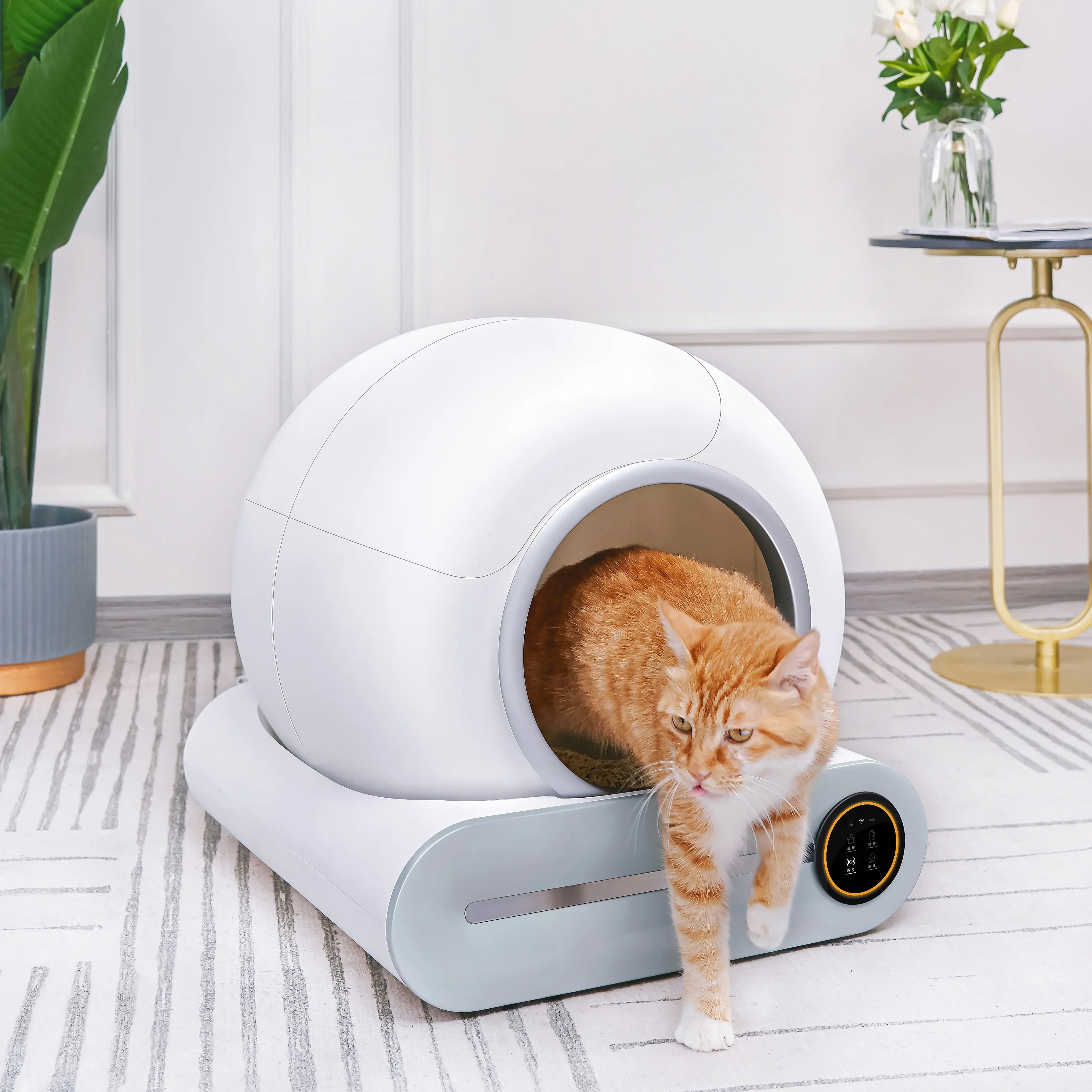 Automatic Smart Cat Litter Box Sifting Litter Box With High Sides Cat Toilet Travel Litter Tray For Kittens To Senior Cats