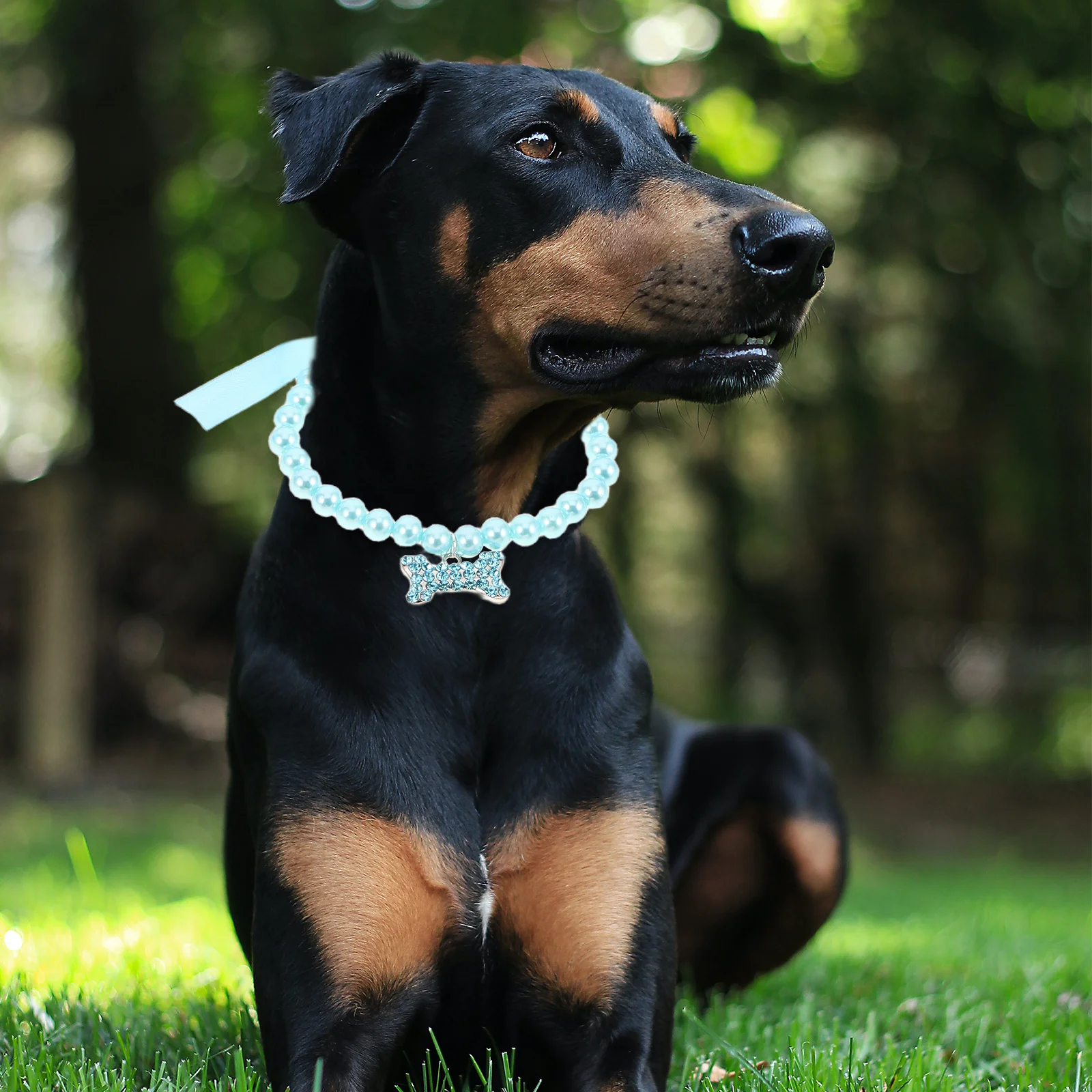 

4Pcs Cat Dog Collar Adjustable Pearl Necklace Bone Pendant Jewelry Cat Necklace Collars Jewelry Collar for Cats