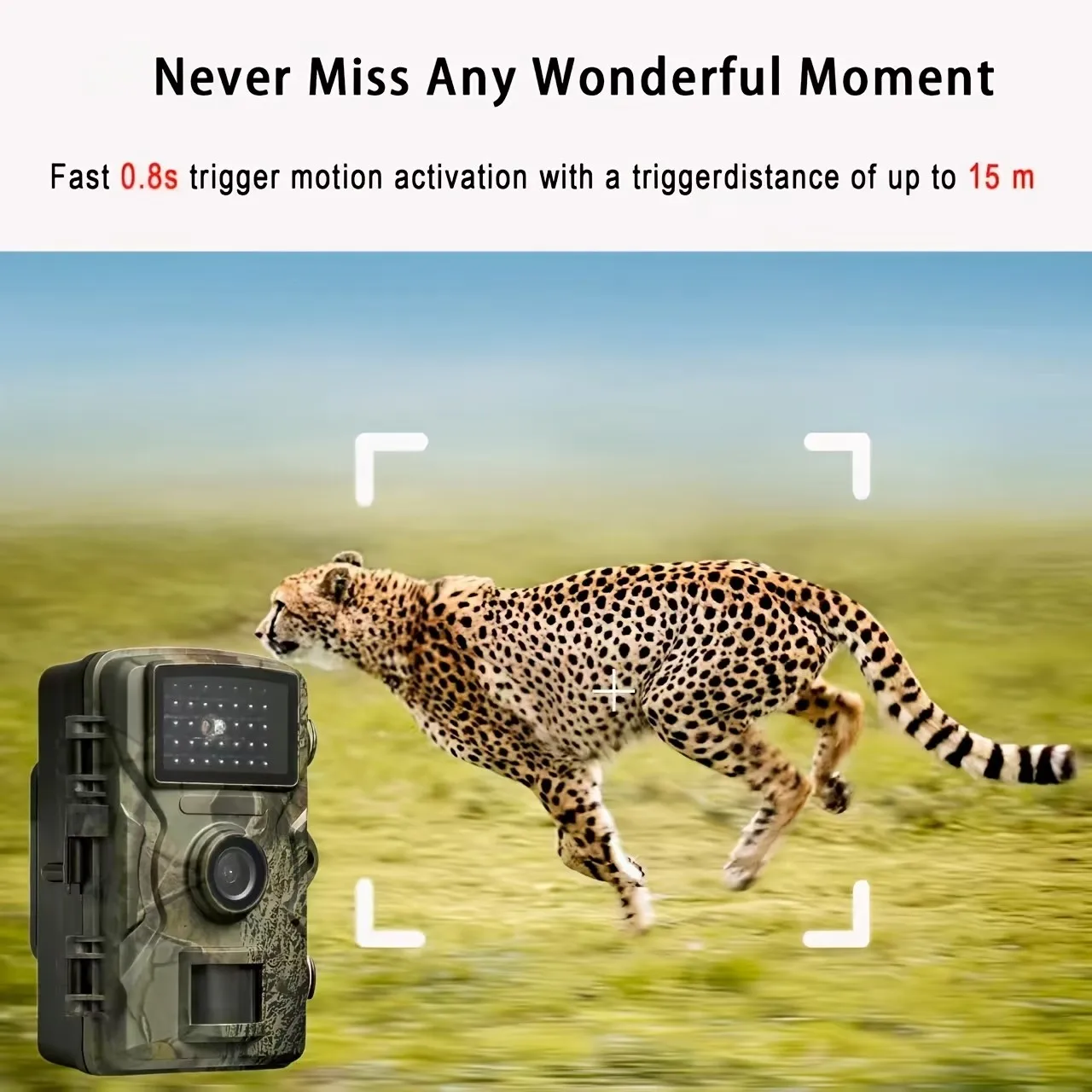 Thumbnail 2 - #2 New Motion Activated Wildlife Cameras Arrivals