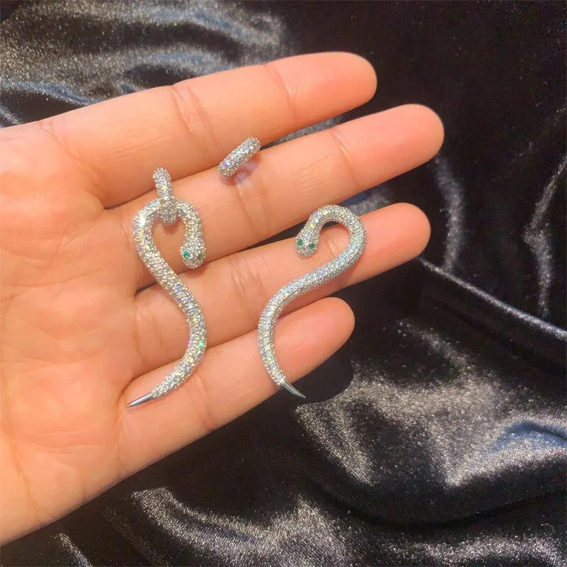 Exaggerated Female Earrings 925 Silver Needle S Snake Shaped Animal Ear Gothic Silver Color Wedding Jewelry Gift