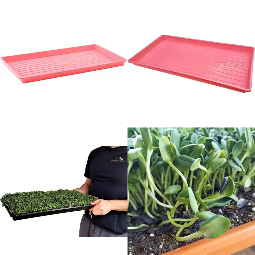 

Pink 10-Piece Farmer's Microgreen Growing Trays without Drainage Holes