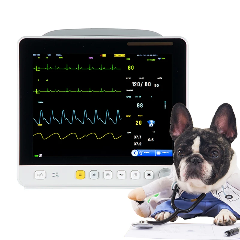 China Wholesale P-at-ie-nt Monitor Veterinary Blood Oxygen Pulse Vital Signs Multiparameter Veterinary Monitor